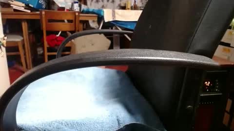 Ray online show from November 2025 12:04:02 PM