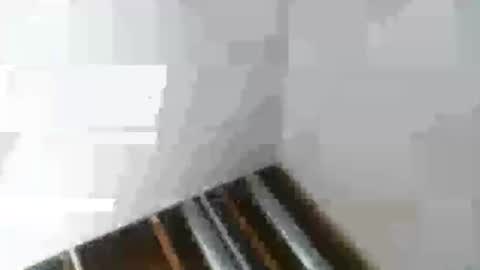 Mr Nice online show from January 2025 02:48:01 AM