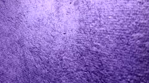 Rasta online show from October 2025 06:30:02 PM