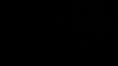 Neta online show from October 2025 12:44:01 AM