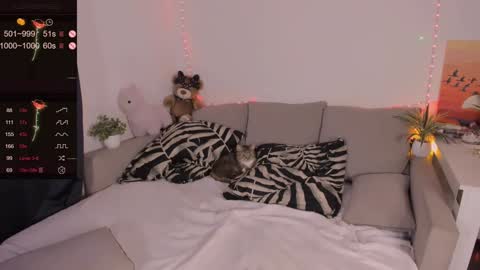 Snapshot of red_passsion chatting on February 2025 08:41:01 PM Mia online show from February 2025 08:41:01 PM