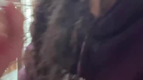 redfloweer online show from September 2025 07:41:02 PM