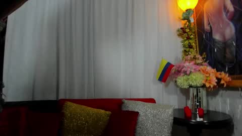 Snapshot of redroomxx chatting on February 2025 07:00:01 PM MIA online show from February 2025 07:00:01 PM