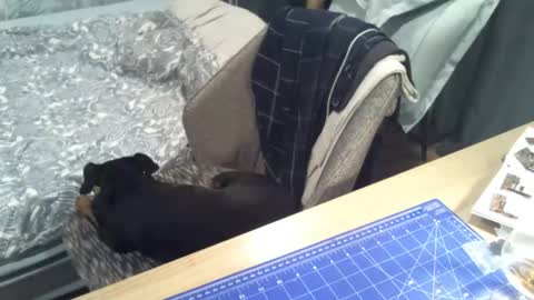 Snapshot of reunionussr chatting on November 2025 04:45:02 PM reunionussr online show from November 2025 04:45:02 PM