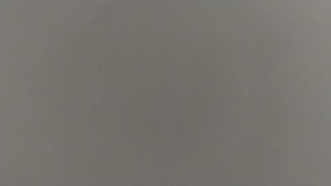 reza240782 online show from September 2025 11:13:02 AM