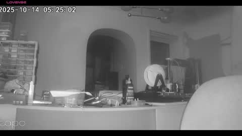 reza240782 online show from October 2025 04:24:01 AM