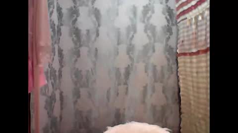 Snapshot of rianfox1234 chatting on November 2025 09:20:02 PM rianfox1234 online show from November 2025 09:20:02 PM