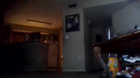 ribault23 online show from January 2025 01:01:01 PM