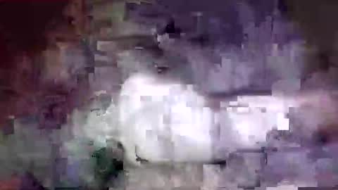 Snapshot of richard11268869 chatting on December 2024 10:06:02 PM richard11268869 online show from December 2024 10:06:02 PM