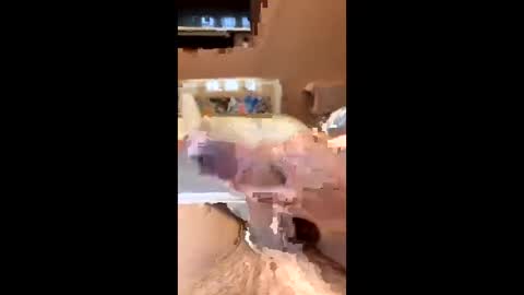 richmondal83 online show from October 2025 03:01:02 PM