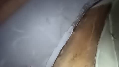 Snapshot of robincom23 chatting on October 2025 04:29:01 AM R online show from October 2025 04:29:01 AM