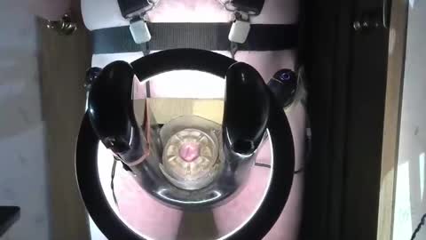 Snapshot of robodickmilker chatting on January 2025 11:55:01 PM Robodickmilker online show from January 2025 11:55:01 PM