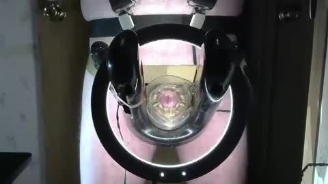 Snapshot of robodickmilker chatting on January 2025 12:31:02 AM Robodickmilker online show from January 2025 12:31:02 AM