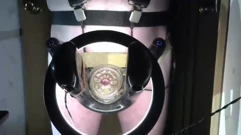 Snapshot of robodickmilker chatting on February 2025 07:54:02 PM Robodickmilker online show from February 2025 07:54:02 PM