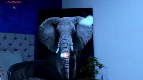 Snapshot of rocco_santos chatting on September 2025 03:12:01 AM rocco_santos online show from September 2025 03:12:01 AM