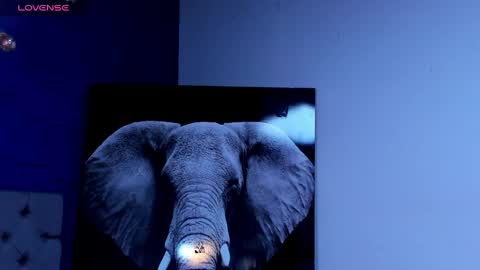 Snapshot of rocco_santos chatting on October 2025 01:14:02 AM rocco_santos online show from October 2025 01:14:02 AM