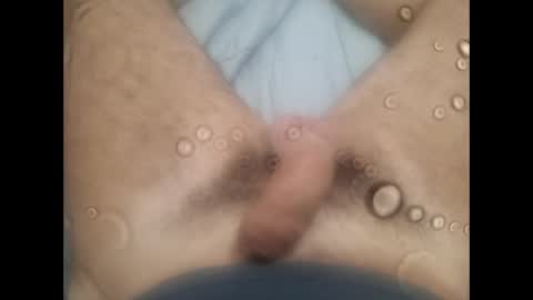 rollino83 online show from October 2025 09:02:01 PM