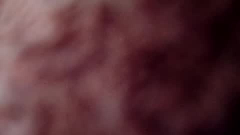 rose12161216 online show from November 2025 03:13:02 PM