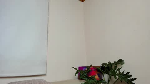Lyla OF roselinedior online show from December 2024 04:17:01 PM