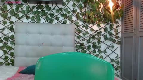 Snapshot of rous_55 chatting on December 2024 02:58:01 AM Rous online show from December 2024 02:58:01 AM