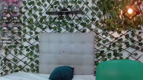 Snapshot of rous_55 chatting on January 2025 09:17:02 AM Rous online show from January 2025 09:17:02 AM