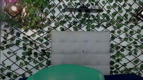 Snapshot of rous_55 chatting on February 2025 09:35:02 AM Rous online show from February 2025 09:35:02 AM