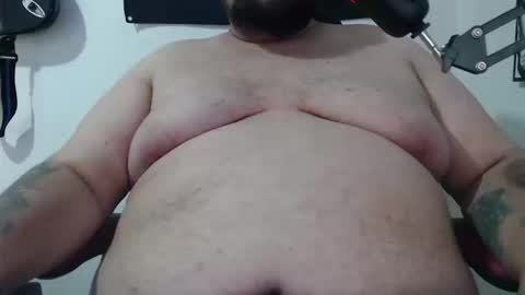Bear online show from September 2025 08:45:01 PM