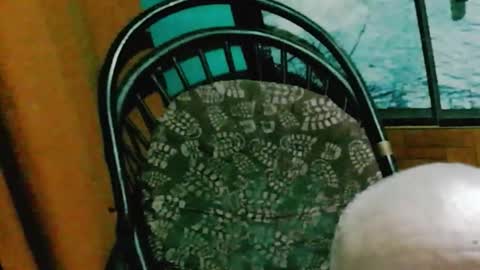 runnnaz online show from October 2025 01:28:01 AM