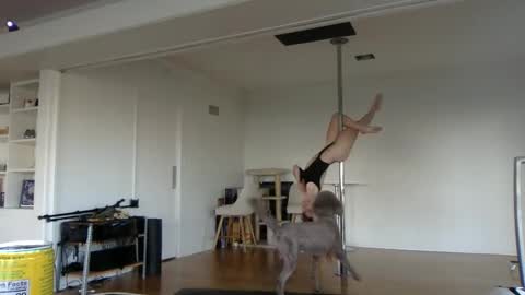 Snapshot of sadgirldies chatting on February 2025 12:52:01 AM sadgirldies online show from February 2025 12:52:01 AM