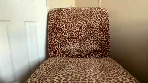 Snapshot of saeonyx chatting on November 2025 10:04:01 PM Saeonyx online show from November 2025 10:04:01 PM