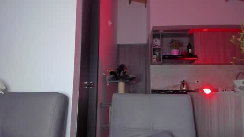 Sag online show from December 2024 05:12:01 AM