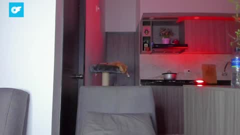 Sag online show from January 2025 12:54:02 AM