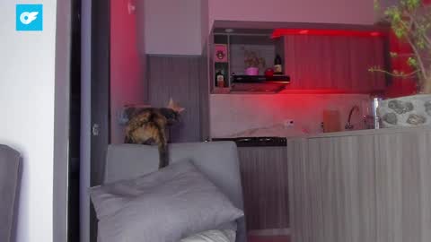 Sag online show from January 2025 01:50:01 AM