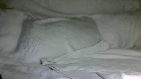 Snapshot of saintd17 chatting on December 2024 03:12:01 AM SD17 online show from December 2024 03:12:01 AM