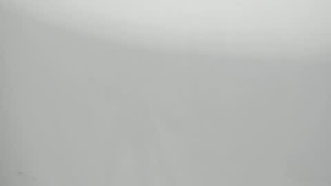 Snapshot of salvatore_damore chatting on January 2025 11:09:02 AM SALVATORE online show from January 2025 11:09:02 AM