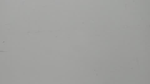 Snapshot of salvatore_damore chatting on February 2025 11:23:01 AM SALVATORE online show from February 2025 11:23:01 AM