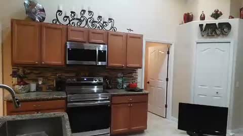 Snapshot of sam_papithebarber chatting on November 2025 04:24:02 AM sam_papithebarber online show from November 2025 04:24:02 AM