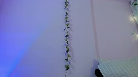 Samanta online show from February 2025 01:42:02 PM