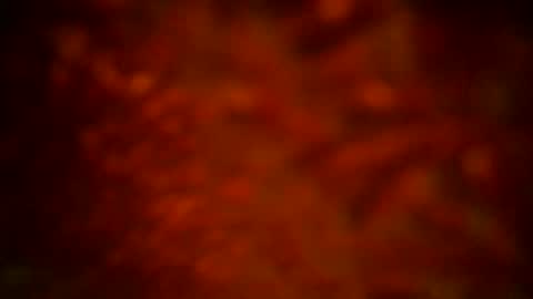 Snapshot of samueltal chatting on September 2025 12:11:01 AM samueltal online show from September 2025 12:11:01 AM