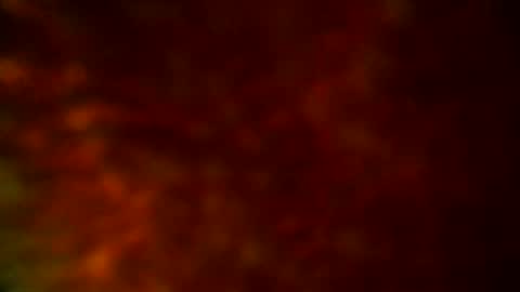 Snapshot of samueltal chatting on September 2025 09:48:02 PM samueltal online show from September 2025 09:48:02 PM