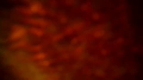 Snapshot of samueltal chatting on September 2025 09:50:01 PM samueltal online show from September 2025 09:50:01 PM