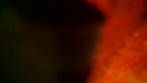 Snapshot of samueltal chatting on October 2025 09:15:01 PM samueltal online show from October 2025 09:15:01 PM