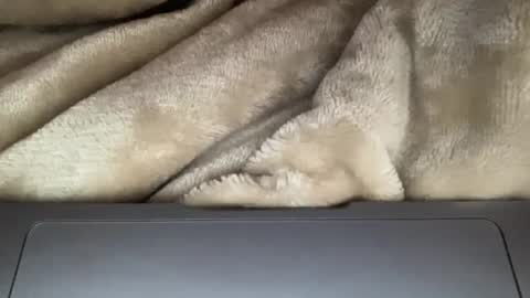 sandrasexy2000 online show from November 2025 08:11:02 PM