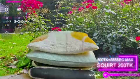 Snapshot of sansa_staark chatting on October 2025 07:44:01 AM sansa_staark online show from October 2025 07:44:01 AM