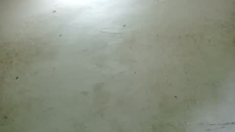 santichai561323 online show from February 2025 02:51:01 AM