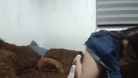 Snapshot of saraandthomas chatting on January 2025 02:24:02 AM sara and thomas online show from January 2025 02:24:02 AM