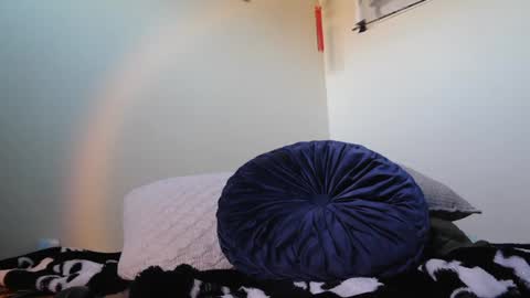 sbe20012 online show from December 2024 09:31:02 PM