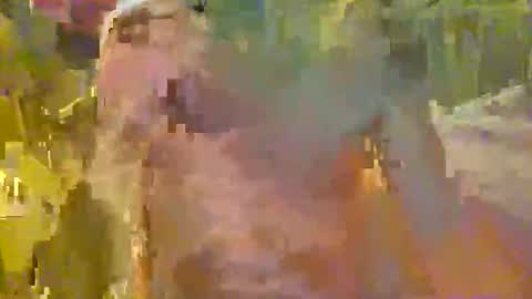 scoutiii online show from November 2025 06:01:01 AM