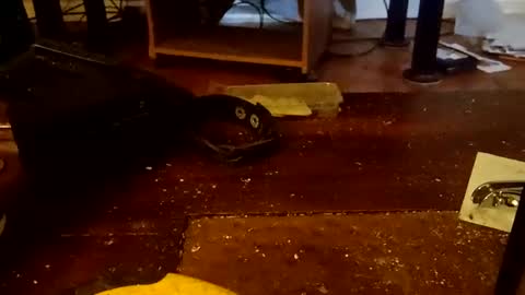 Snapshot of scruples99273286 chatting on November 2025 12:55:01 PM scruples99273286 online show from November 2025 12:55:01 PM