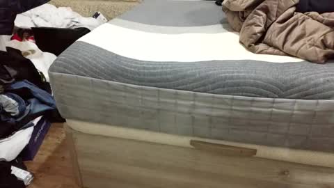 Snapshot of scubi007 chatting on November 2025 10:12:01 PM scubi007 online show from November 2025 10:12:01 PM